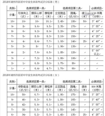 游泳技巧与50米满分（掌握游泳技巧，迈向50米满分的巅峰）