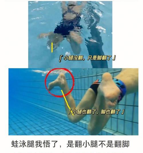 游泳蛙泳蹬腿技巧（有效的学习方法，让你掌握蛙泳蹬腿技巧）