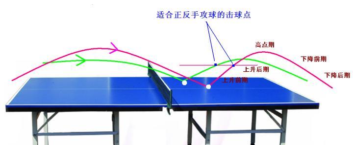 乒乓球弧圈球的基本动作及技巧（学会弧圈球，提升乒乓球水平）