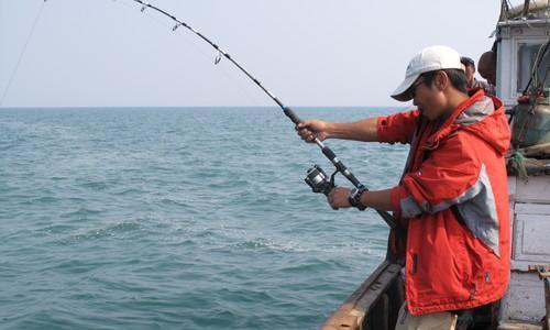 以路亚出海钓鱼所需证件及相关要求（探索海洋的乐趣）