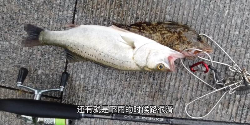 海钓利器-路亚钓鱼竿（轻便方便的选择）