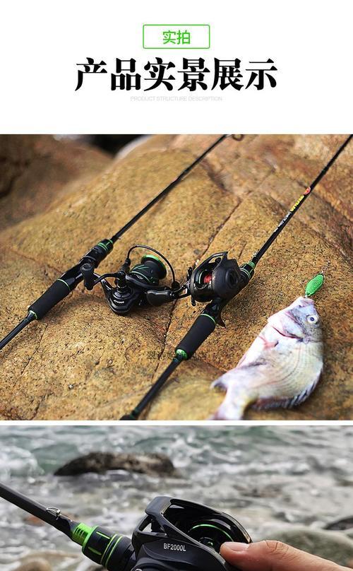选择海边钓鱼的最佳工具（深入比较两种工具的优劣势）