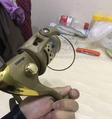 海竿技巧之挂路亚饵钓鱼的秘诀（以海竿为工具，掌握正确挂装路亚饵的技巧和要点，提高钓鱼效果）