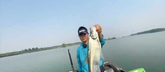 余杭最新苕溪路亚钓鱼状况（探寻余杭苕溪路亚钓鱼的乐趣与挑战）