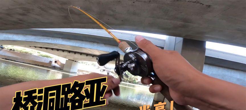 野钓新宠，路亚亮片连竿钓鱼（从亮片到连竿，教你如何用路亚技巧捕获大鱼）