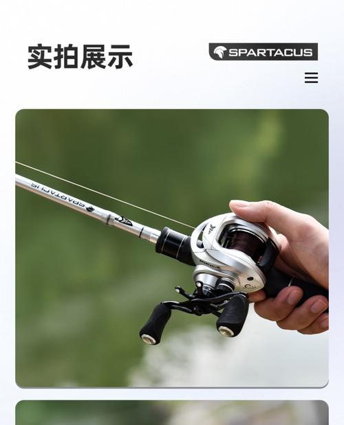 晴天钓鱼最佳路亚选择（解密路亚技巧，享受晴天钓鱼乐趣）