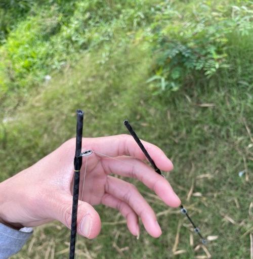 钓鱼手杆与路亚的区别（解析钓鱼手杆与路亚的特点和用途）