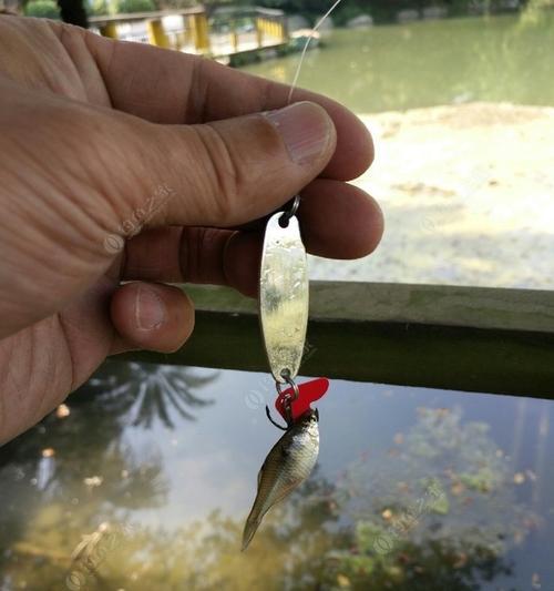 急流乱石下的路亚钓鱼技巧（充分利用地形和装备，成功应对挑战）