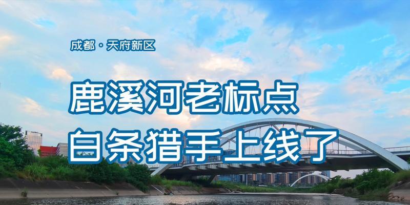 天府新区农家乐路亚钓鱼之乐趣无限（揭秘天府新区农家乐路亚钓鱼的魅力与技巧）