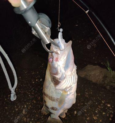 路亚钓法在涨水时的有效性剖析（探讨路亚钓法在涨水情况下的捕鱼效果及技巧）