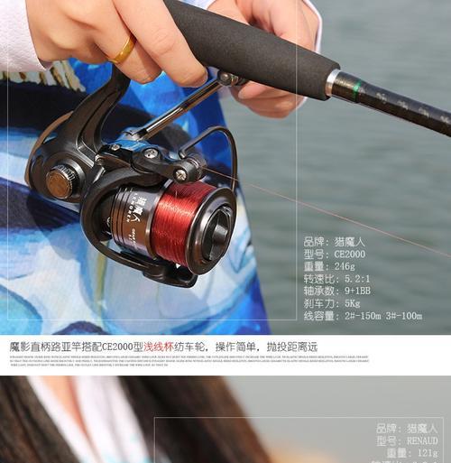 如何选择合适的路亚抛竿弧度进行钓鱼？（探索不同弧度对钓鱼的影响及选择技巧）