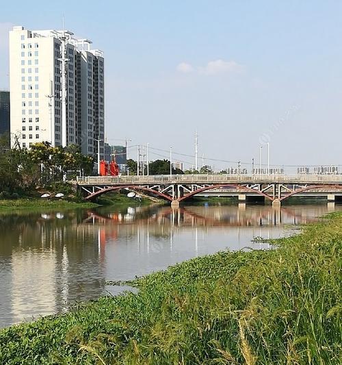 探寻青菱河的路亚钓鱼之旅（挑战极限，体验不一样的钓鱼乐趣）