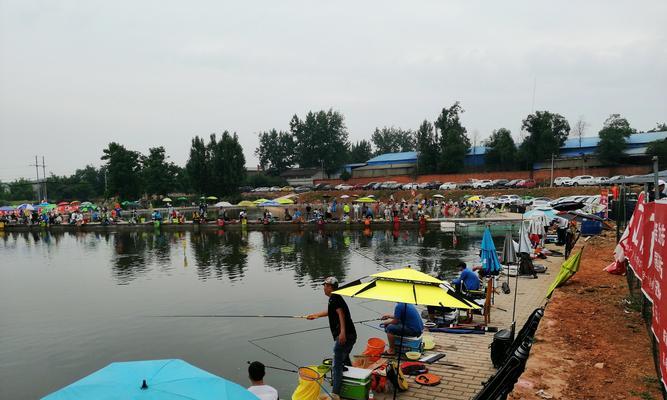 顺德杏坛路亚钓鱼场（探索自然之美，享受路亚钓鱼的乐趣）