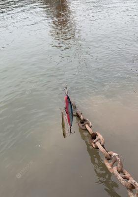 江边路亚钓鱼技巧大揭秘（掌握正确挂饵技巧，提高江边路亚钓鱼成功率）