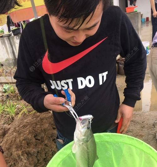 南方下雨天路亚钓鱼攻略（细雨纷飞中的钓鱼乐趣）