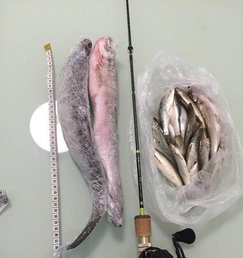 以路亚竿钓鱼的最佳假饵选择（探索路亚钓鱼的有效技巧及饵料选择）