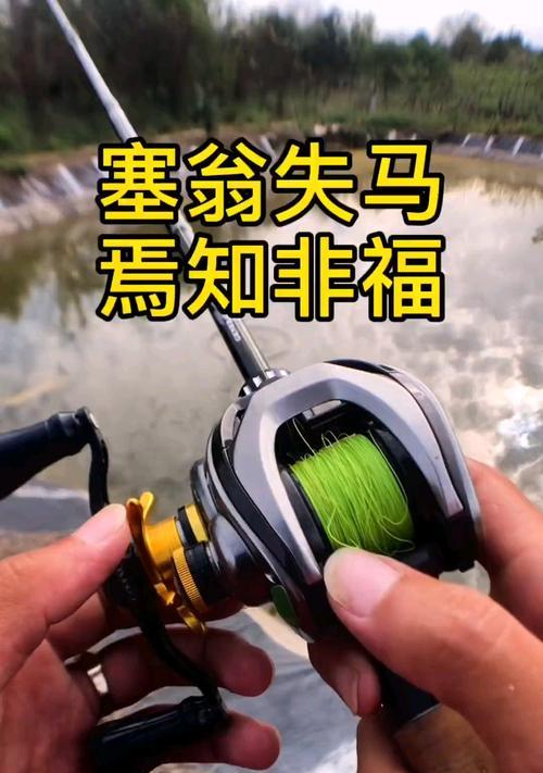 小溪垂钓的路亚技巧（探秘小溪中的钓鱼乐趣，从路亚开始）