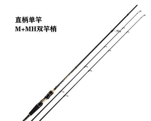 路亚钓鱼竿新手指南（掌握关键技巧，成为优秀路亚钓手）