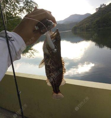 降温后第几天是好路亚钓鱼的日子（探寻最佳钓鱼时机，享受钓鱼的乐趣）