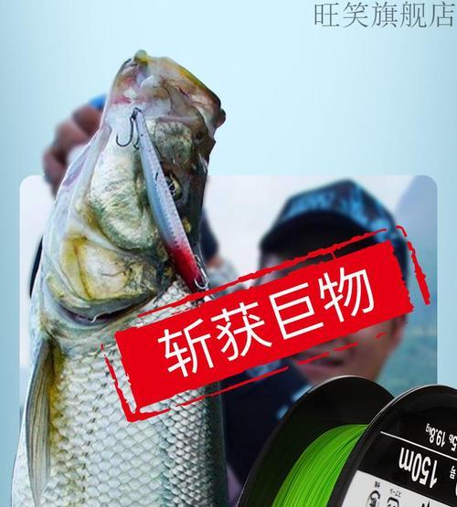 以路亚碳线可以直接钓鱼吗？（探讨以路亚碳线作为直接钓鱼工具的可行性）