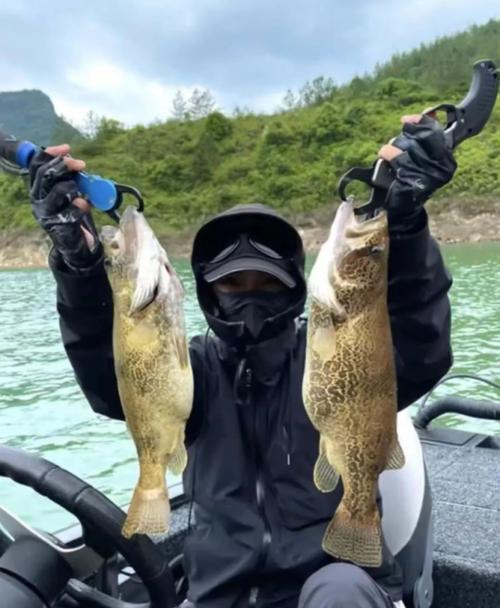 为什么在路亚钓鱼中不能使用手（探讨路亚钓鱼中手的使用限制及原因）