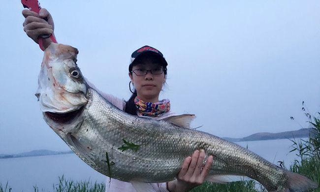 以徒骇河路亚钓鱼，让你尽享钓鱼乐趣（探索徒骇河路亚钓鱼的技巧和心得，享受独特的钓鱼体验）