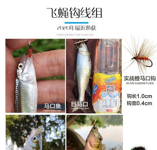 以路亚瓜子亮片线组，钓鱼技巧大揭秘！（掌握关键钓技，轻松获得丰收！）