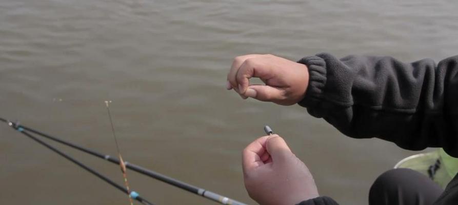 选择合适的时间点进行路亚钓鱼的重要性（挑选最佳时间点，收获满满的路亚钓鱼体验）