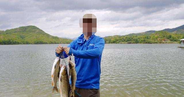 水域荷叶下的路亚钓鱼技巧（探秘以荷叶为遮蔽的水域内的路亚钓鱼技巧）
