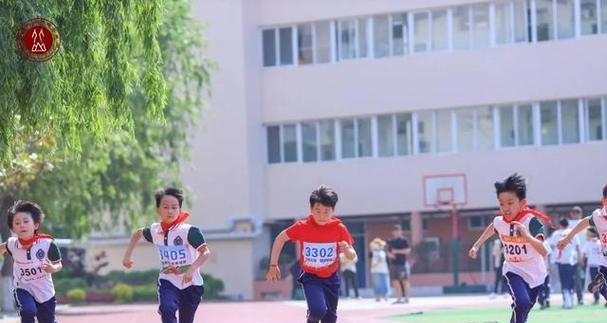 篮球后卫防守（背后的秘密与技巧，向NBA球员学习）