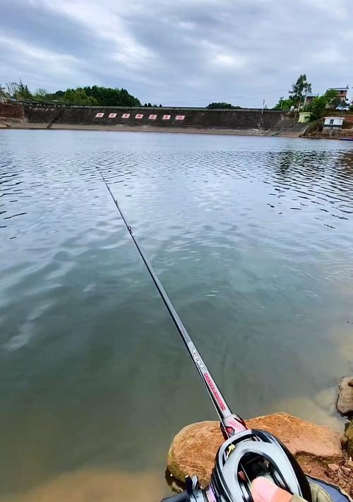 路亚黑坑钓鱼的最佳杆具选择（挑选合适的路亚黑坑钓鱼杆，助你获得丰富的收获）