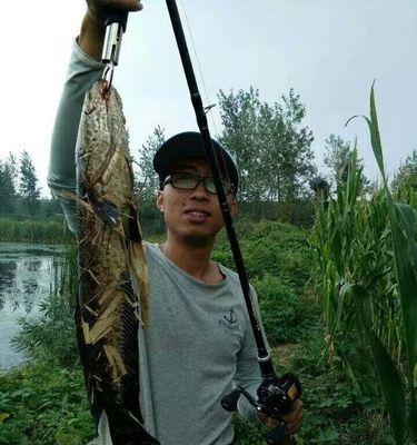 台钓还是路亚，哪种钓法更适合钓鱼？（选择台钓还是路亚，从这15个方面来分析！）