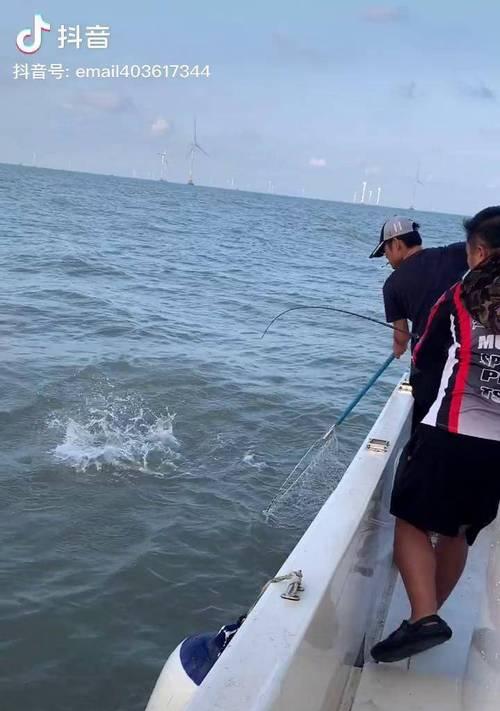 路亚钓鱼海钓技巧（探索海洋奥秘，尽享路亚钓鱼的乐趣）