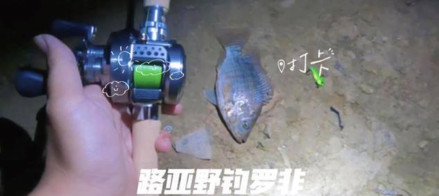 新手玩路亚户外钓鱼指南（快速掌握路亚钓鱼技巧，成为钓鱼高手）