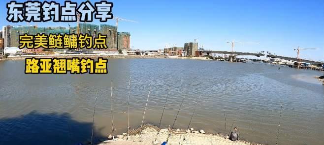北方用路亚钓鱼的钓点选择秘籍（挑选最佳钓点，从而收获丰富的渔获）
