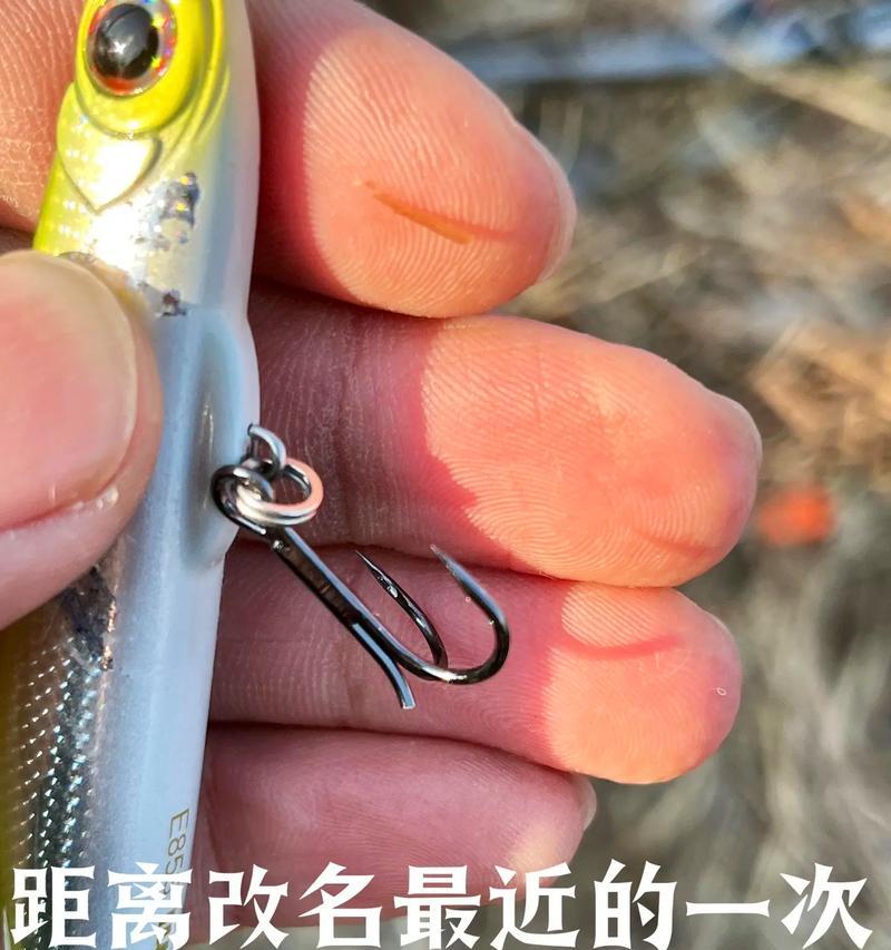 2022年度钓鱼路亚排名揭晓（挑战极限，技惊四座的路亚之争）