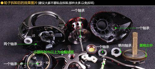路亚钓鱼技巧（探鱼器在路亚钓鱼中的关键作用与使用技巧）