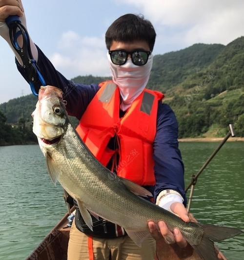 探寻杨泗港路亚钓鱼锚到人的乐趣（追寻钓鱼锚到人的新鲜感与乐趣）