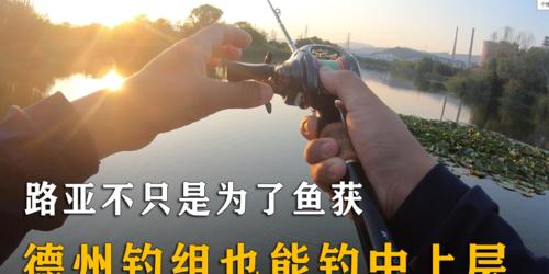 深入探究路亚为什么是钓鱼的重点（探索路亚钓法的关键因素及其效果）