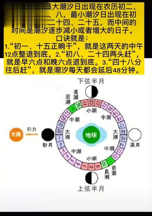 深入了解以路亚钓鱼资源（探索钓鱼技巧和资源的关键）