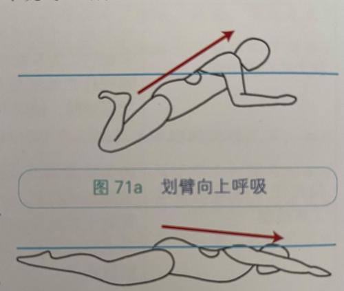 如何教宝宝游泳练习憋气的技巧？（宝宝游泳憋气的正确方法和注意事项）