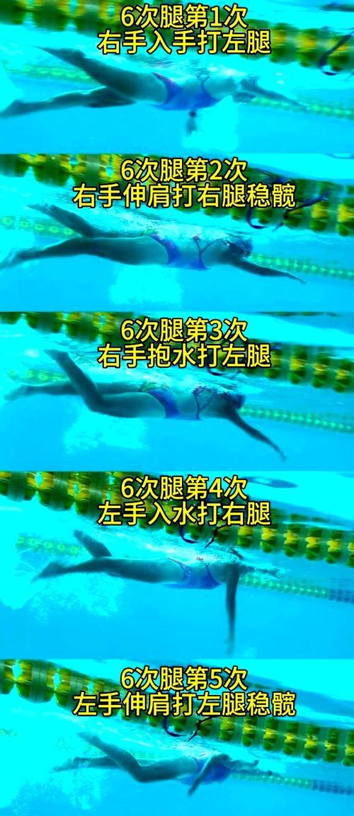 游泳池中的水技巧（提升游泳技能，享受游泳乐趣）