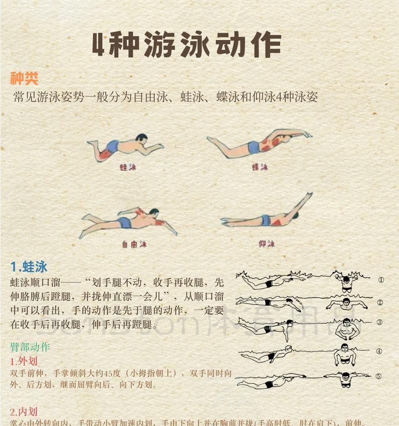 揭秘世界杯美女游泳换气技巧（提高游泳换气技巧的关键，为你赢得比赛的关键秘密）