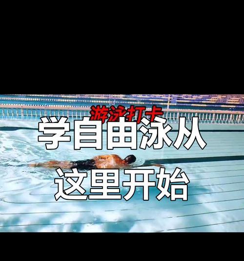 游泳技巧与知识全面指南（轻松掌握游泳，迈向水中自由之旅）