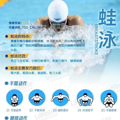 初学游泳（有效掌握水中换气，让你游得更轻松）